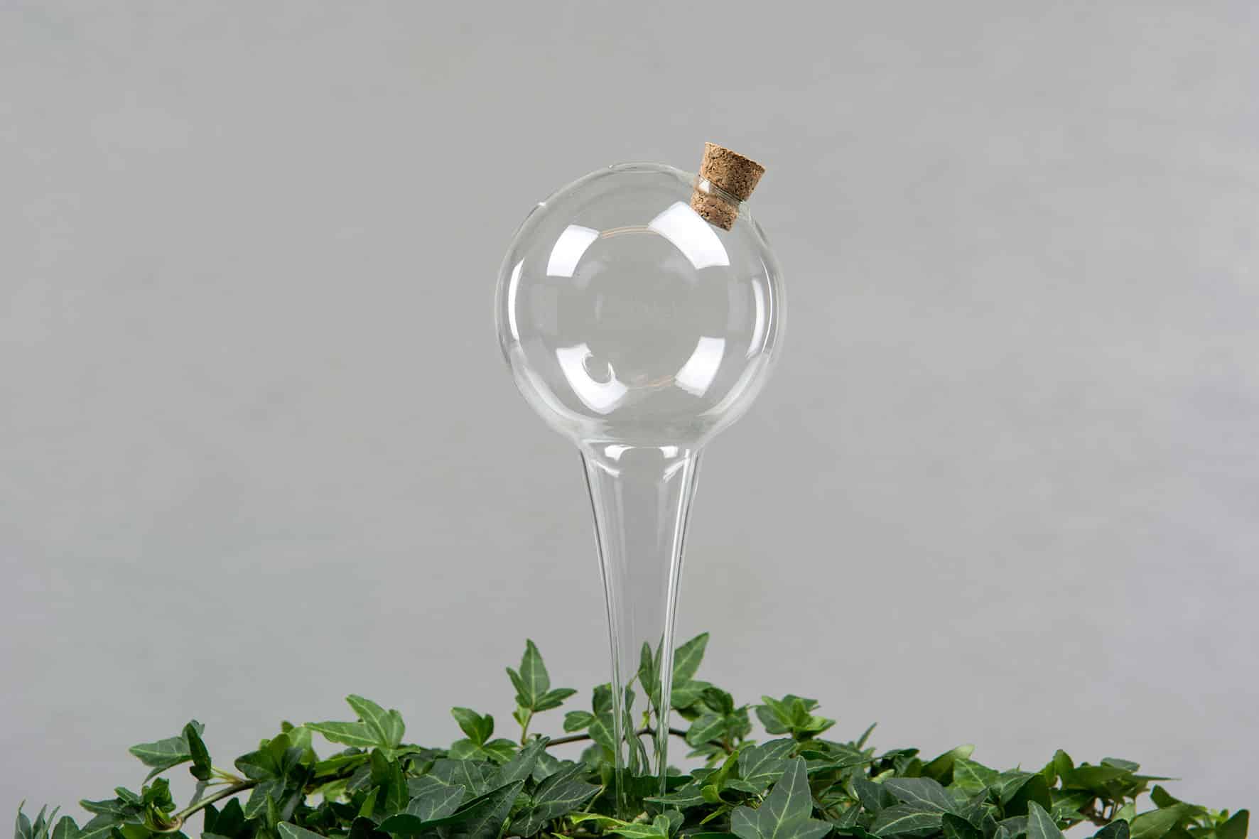Omslagsbild för “Bevattningsklot i glas”