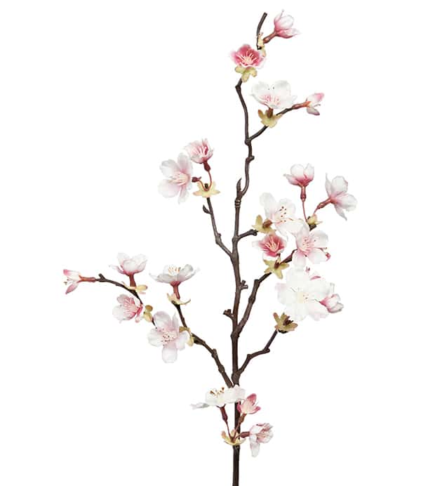 Omslagsbild för “Körsbärsblom kvist 60 cm”