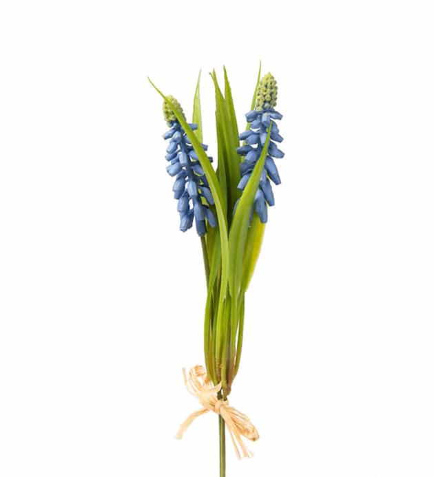 Omslagsbild för “Pärlhyacint bunt blå 20 cm”