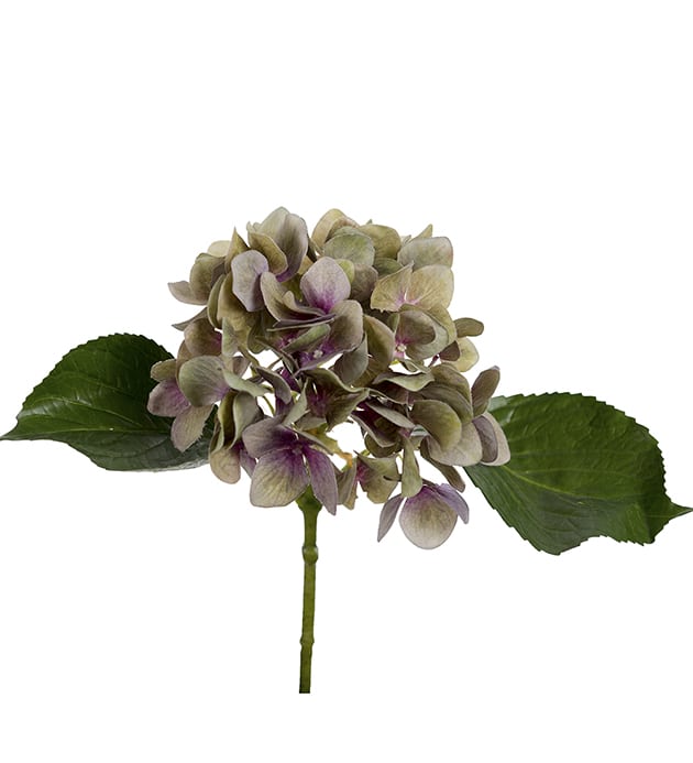 Omslagsbild för “Hortensia lila grön 25 cm”