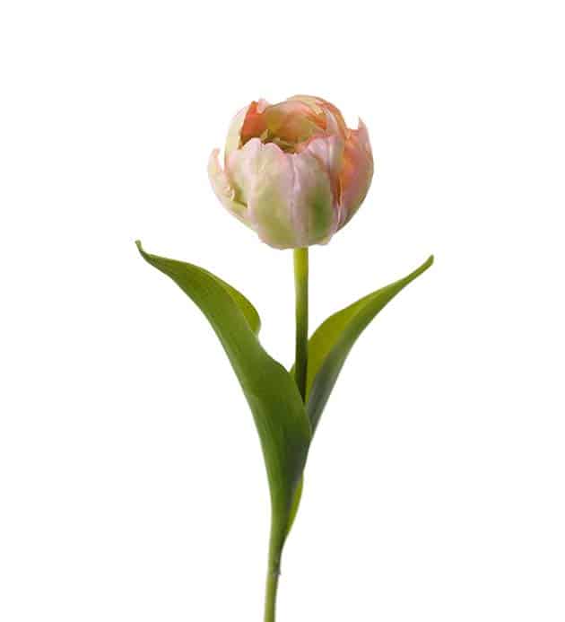 Omslagsbild för “Tulpan rosa 36 cm”