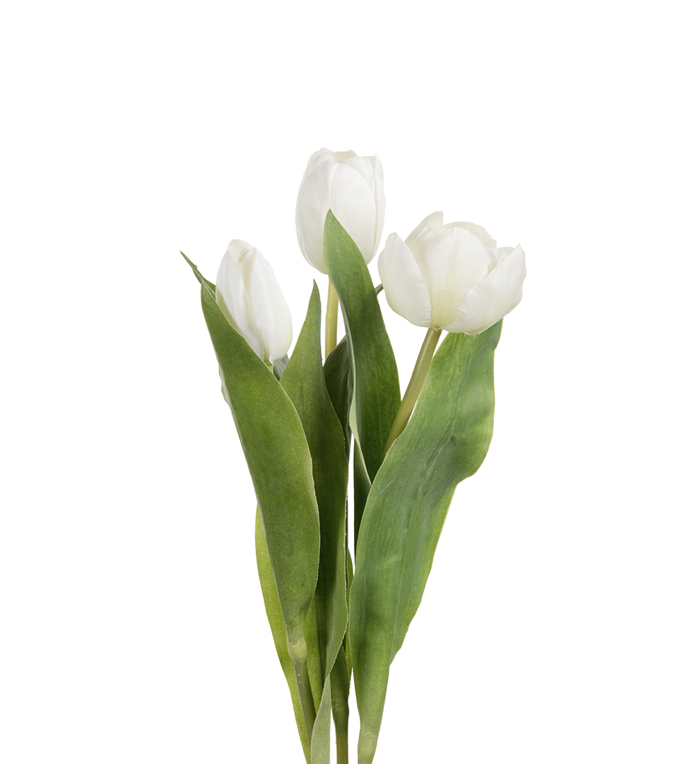 Omslagsbild för “Tulpan mix vit 36cm - 3 st”