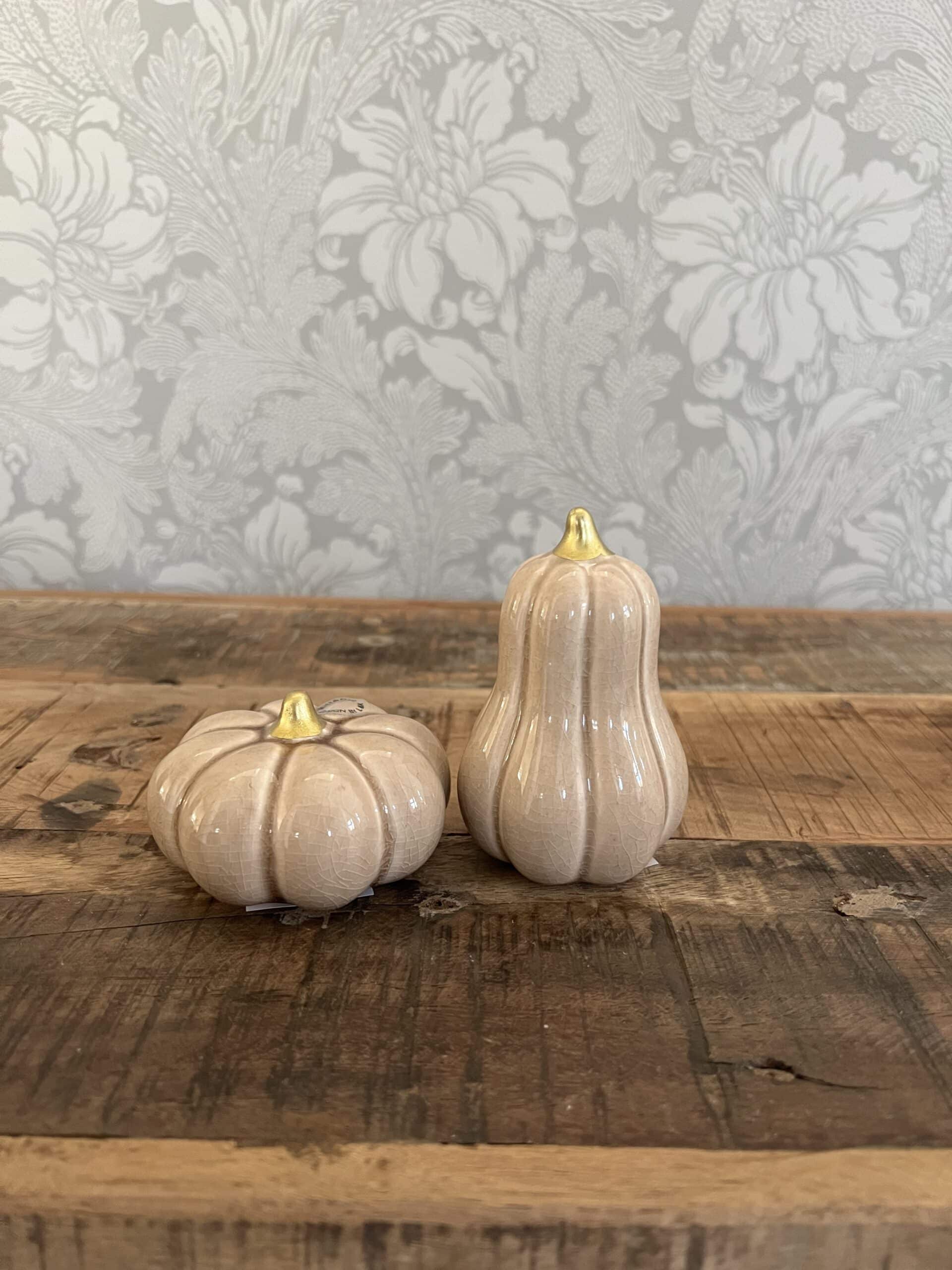 Omslagsbild för “Pumpa Fenja beige mellan mix”