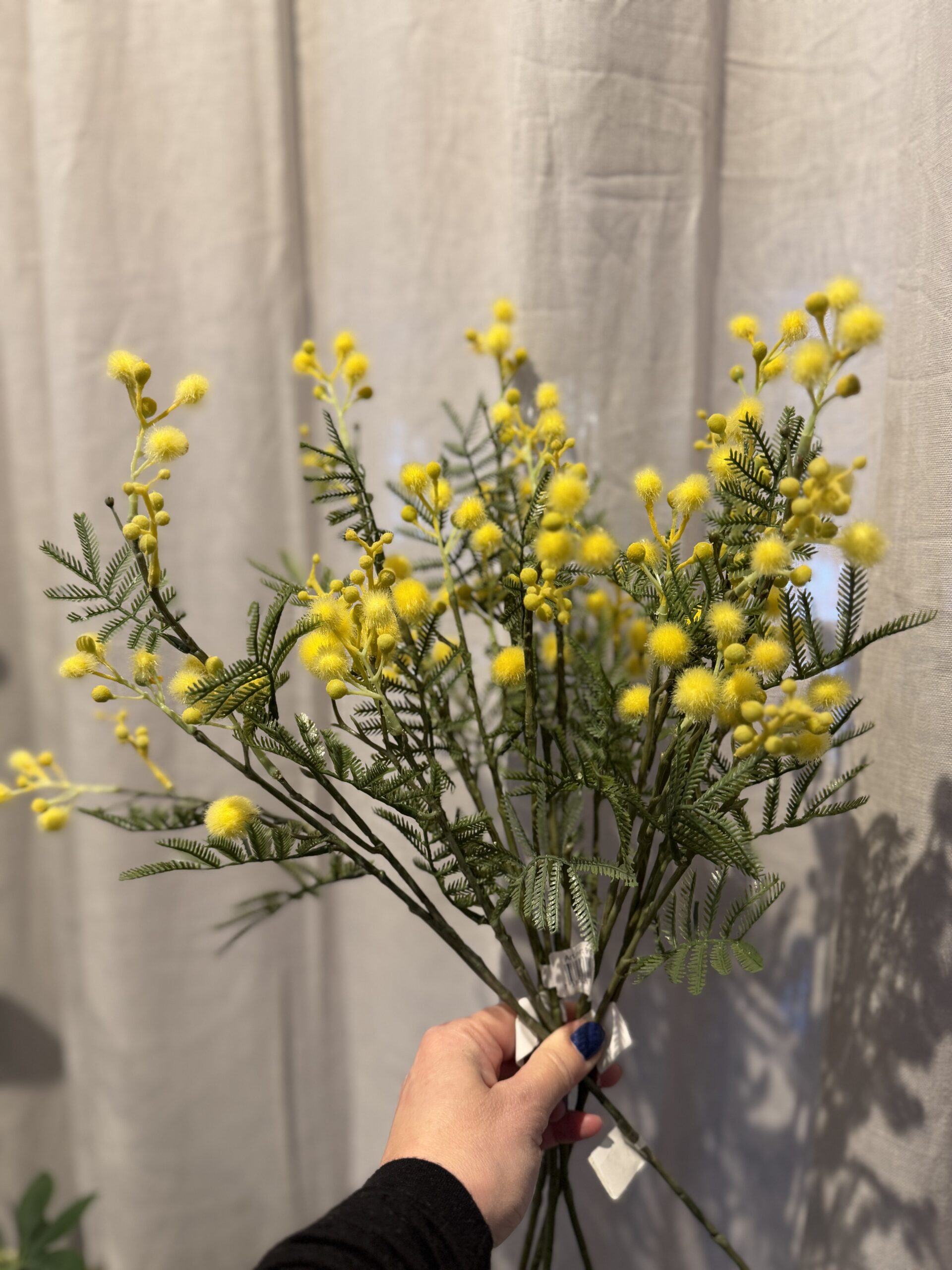 Mimosa kvist 60 cm