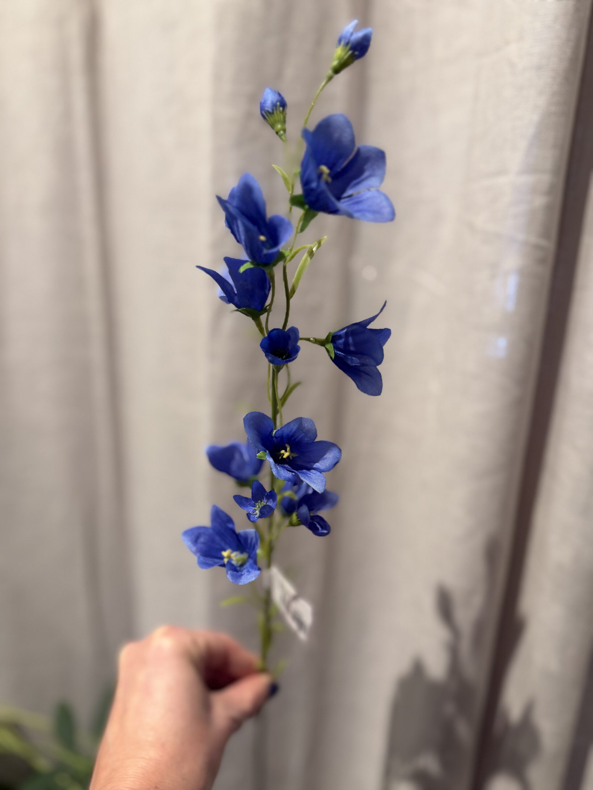 Blåklocka 65 cm - Bild 2