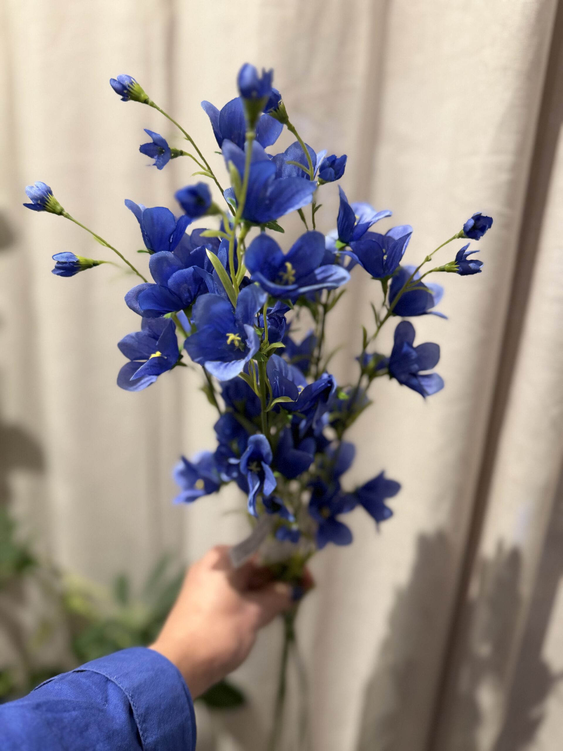 Blåklocka 65 cm - Bild 3