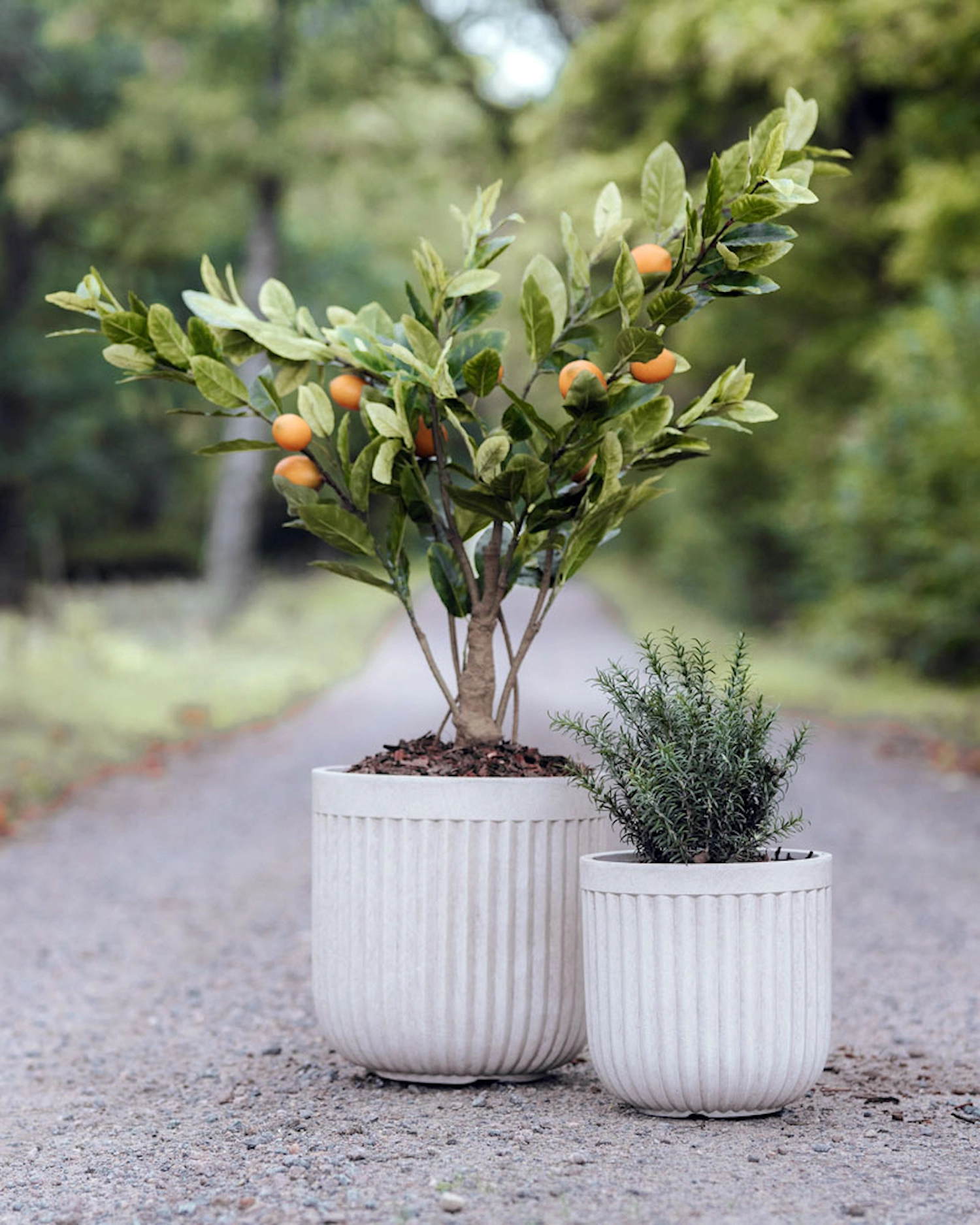 Omslagsbild för “Kruka Marble utomhus”