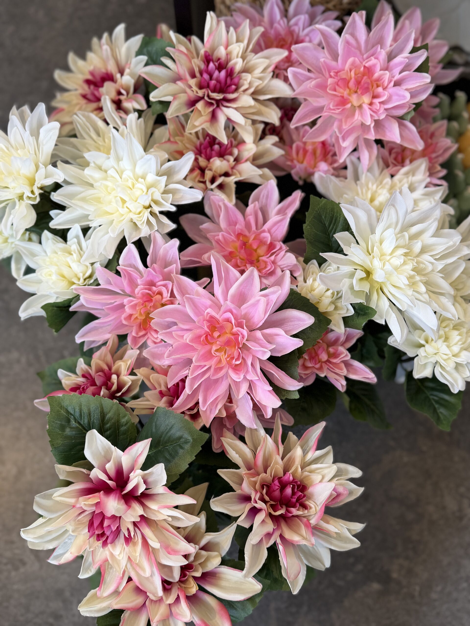 Omslagsbild för “Dahlia i kruka - tre färger 30 cm”