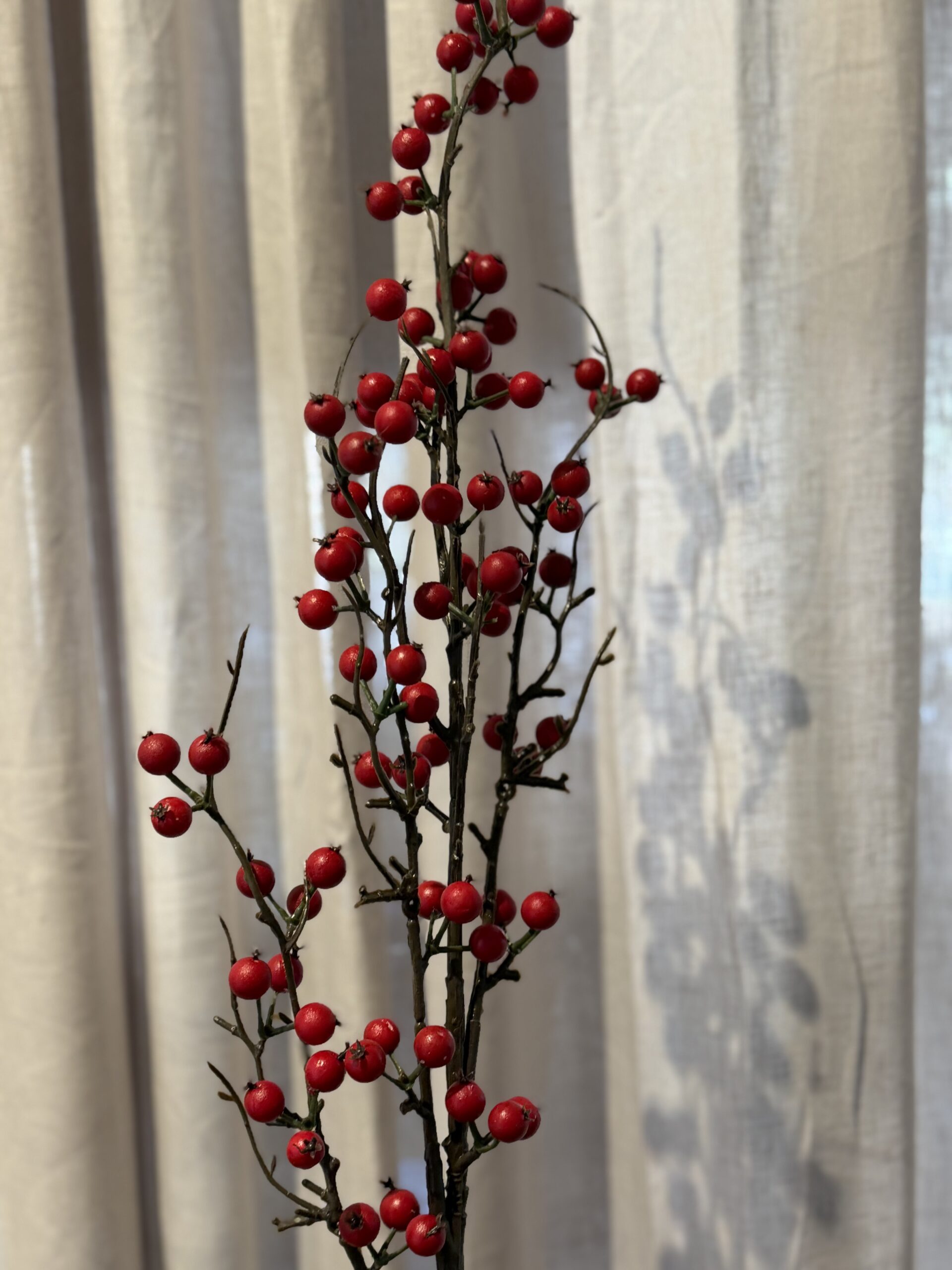 Omslagsbild för “Bärkvist röda bär 98 cm”